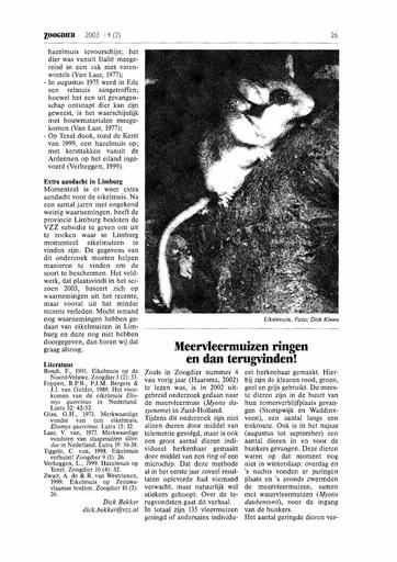 Meervleermuizen ringen en dan terugvinden