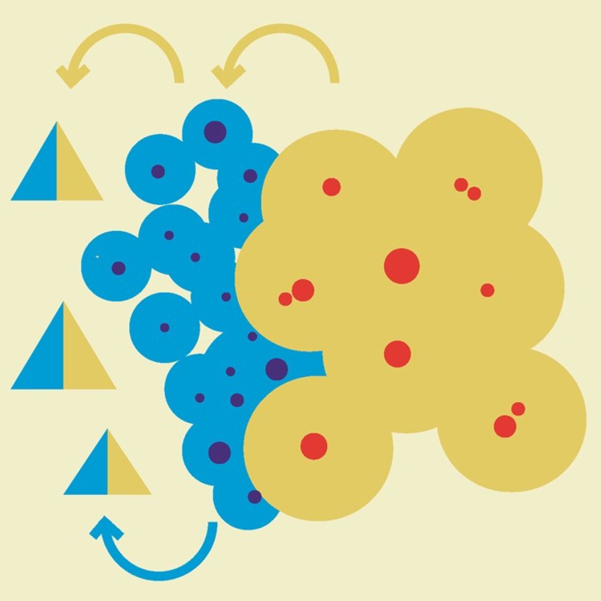 verdeling tussen veel grote vrouwgroepen met daaromheen mannengroepen van meervleermuizen