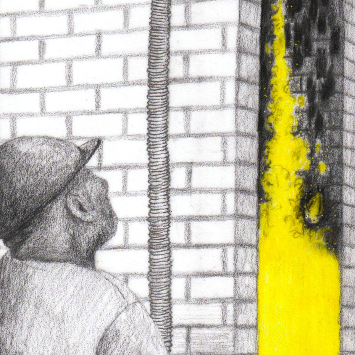 Man die spouw met vleermuizen erin isoleert